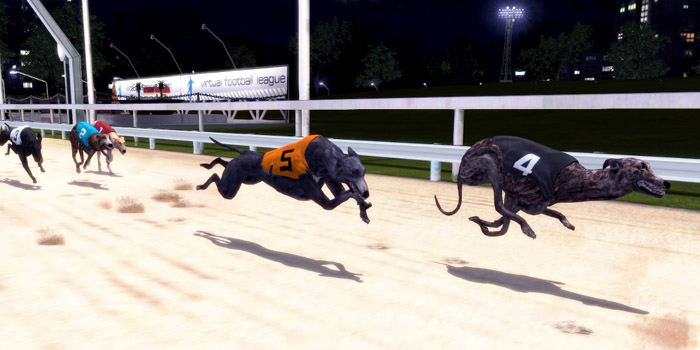 Virtual dog racing at Betway