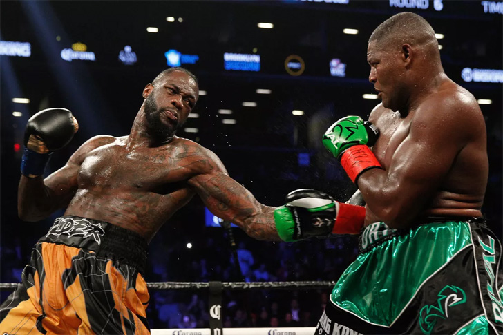 Deontay Wilder beat Luis Ortiz in New York last year