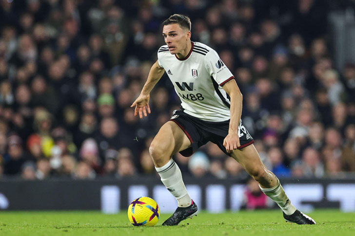 Joao Palhinha of Fulham